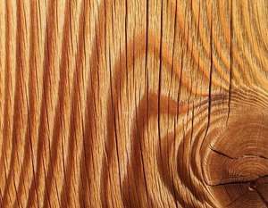 Как сделать незаметную ремонтную вставку в поврежденную древесину