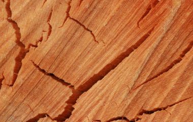 Древесные дефекты: как работать с сучками, трещинами и неравномерной текстурой