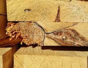 Ошибки при обработке древесины с использованием пилы и способы их устранения