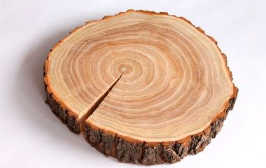 Важные параметры конструкционной древесины