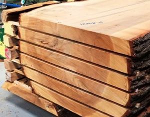 Визуальная диагностика пороков древесины: как понять, что под корой