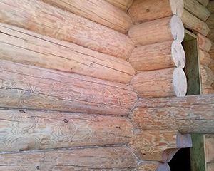 Отбеливание древесины