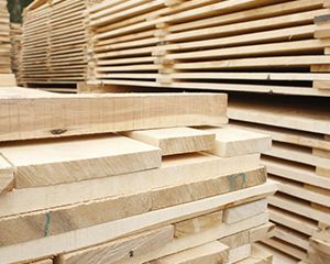 Все продукты деревообработки. Что сегодня производят из древесины?