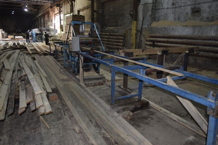 Авангард многопил РМ50