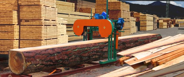 Пилорама ленточная горизонтальная электрическая Алтай-1000