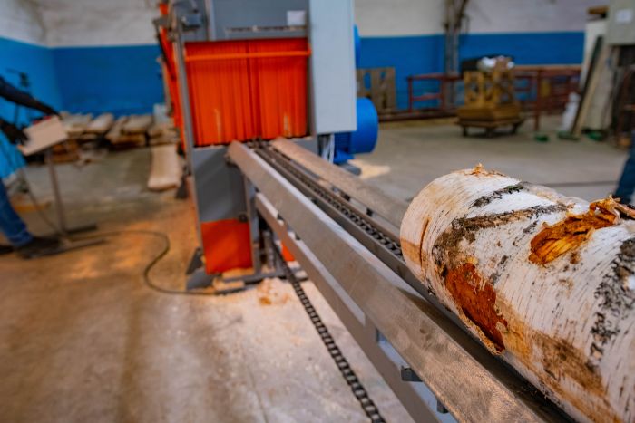 Промышленный двухвальный брусующий станок «ТРИУМФ» 16П480 Classic